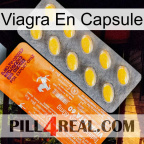Viagra Capsule new05
